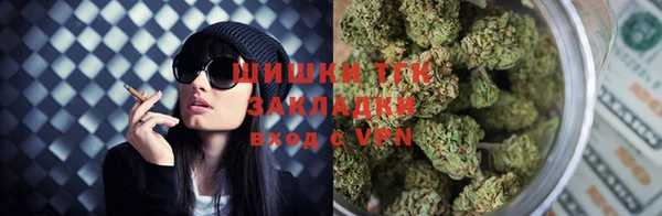 бошки Бородино