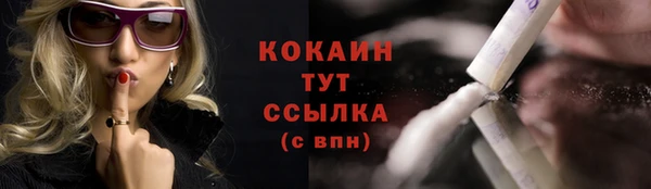бошки Бородино