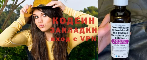 бошки Бородино