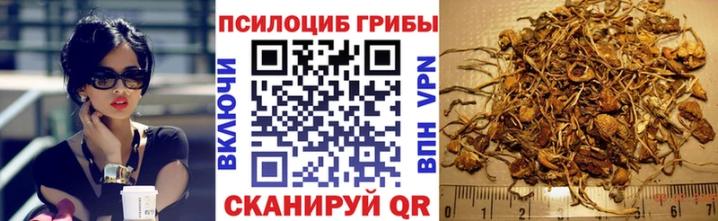Псилоцибиновые грибы Cubensis  ссылка на мегу рабочий сайт  Северск 