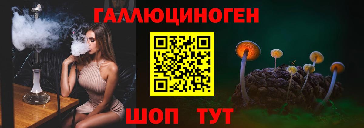Северск  Галлюциногенные грибы мухоморы  Вход с VPN  Галлюциногенные грибы мицелий 